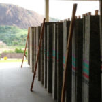 Espirito Santo Purchasing Santa Cecilia